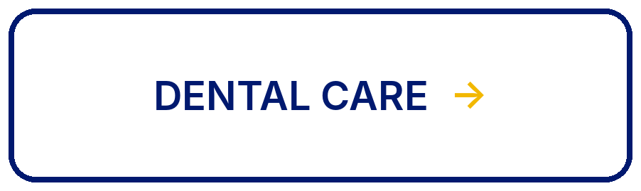 Explore Veterinary Dental Care