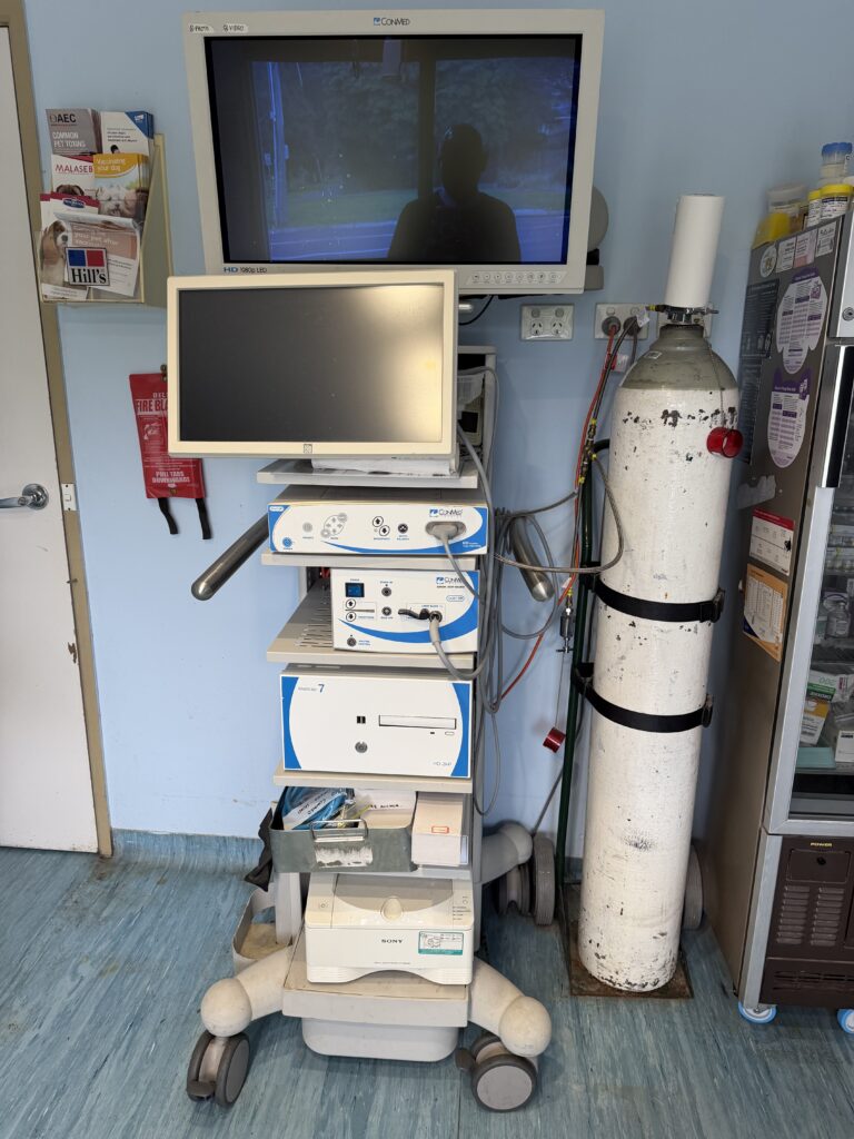 CONMED rigid endoscopy system used at PETCAREVET-X for direct internal visualisation and minimally invasive diagnostic and surgical procedures.