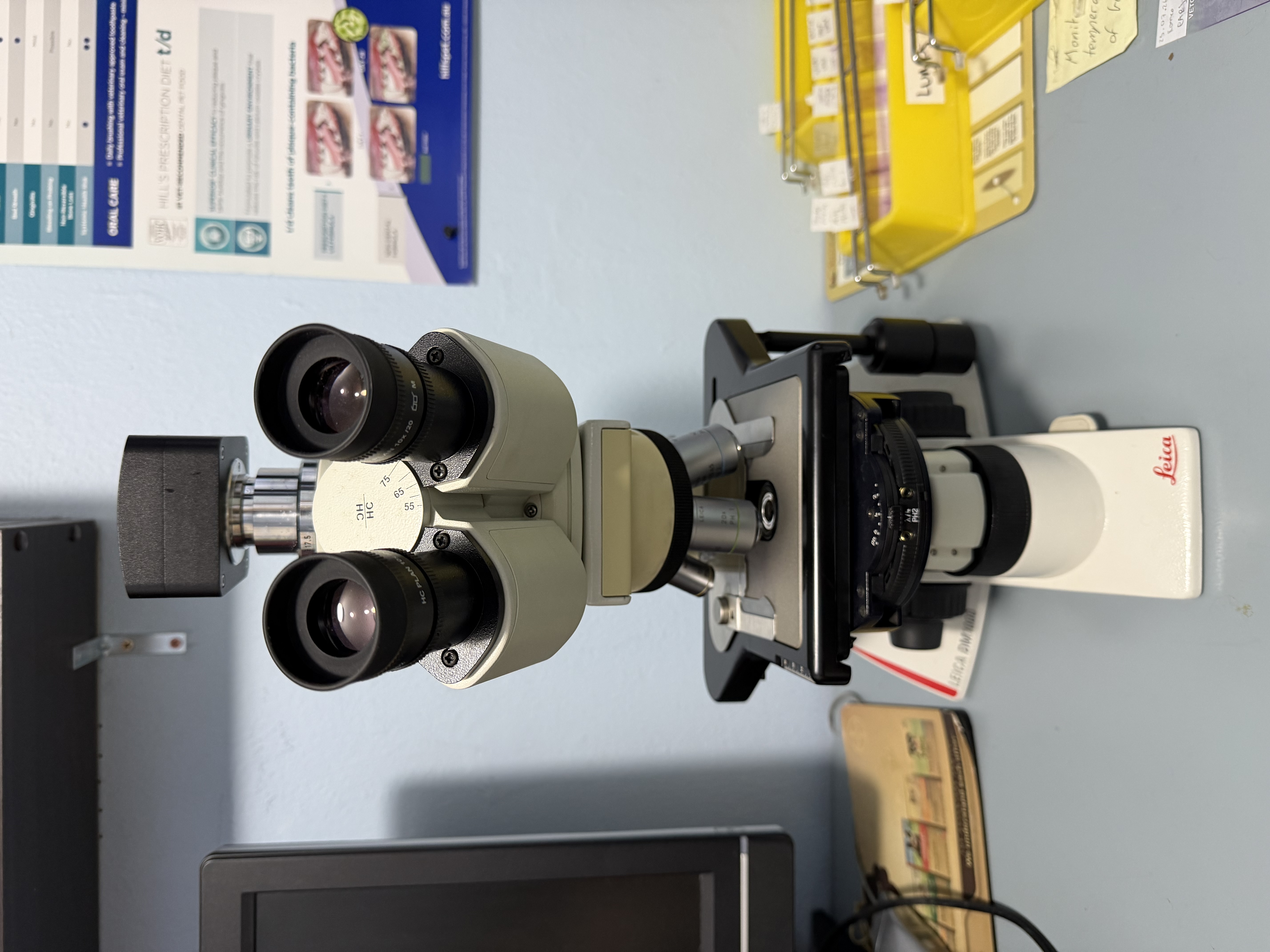 Leica microscope used at PETCAREVET-X for microscopy, cytology and clinical diagnostic assessment.